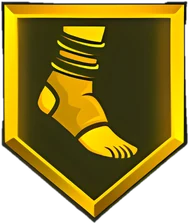 Ankle Braces Gold badge
