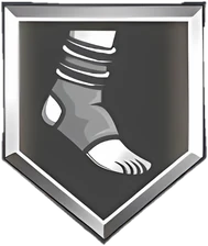 Ankle Braces Silver badge