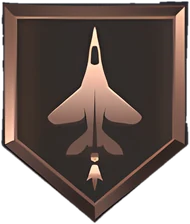 Interceptor Bronze badge