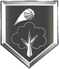 Mini Marksman Silver badge