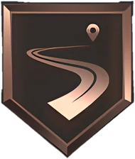 Pick Dodger Bronze badge