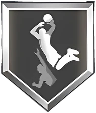 Posterizer Silver badge