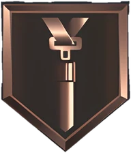 Seatbelt Bronze badge