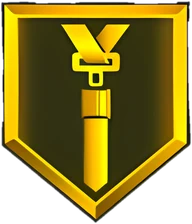 Seatbelt Gold badge