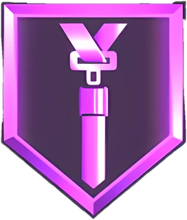 Seatbelt badge