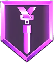Seatbelt HOF badge