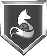 Slippery Off-Ball Silver badge
